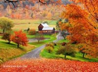 Fall on the farm