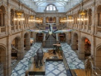 Glasgow Art Gallery & Museum