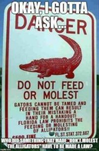 Gators are always mistreated.