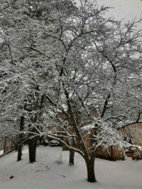 02_07_2021_Snow_scene_3