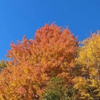 Northeast Tennessee Autumn