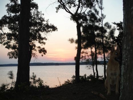 Sharing my sunrise