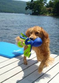 Reilly Dancing on the Dock - 7/10/11