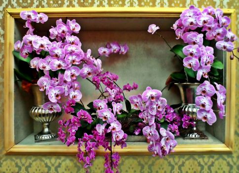 Orchideen im Rahmen