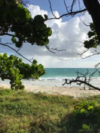 Jabberwok Beach, Antigua