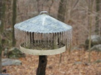 Iced over bird feeder