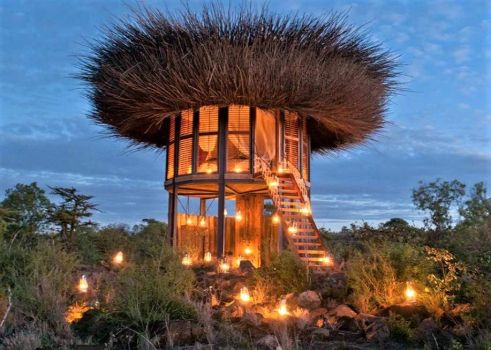 Bird Nest Hotel Villa- Kenya