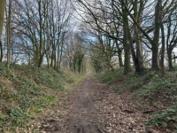 Marriotts Way