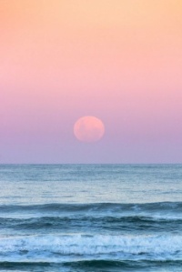 Full Moon  Rising  -  Currumbin Beach