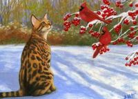 Bengal cat and cardinal birds winter.