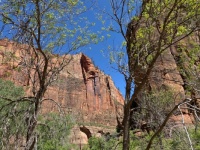 Zion 3