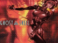 ghost in the shell (2)