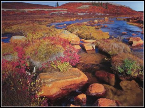 Creek in Esker Bay, Northwest Territories