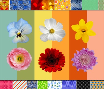 Solve Blooms Jigsaw Puzzle Online With Pieces