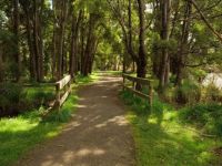 Path_2