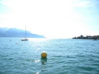 Lac Léman (Montreux - Suisse)