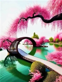 MEANDERING ON THE ENCHANTING CHERRY BLOSSOM WALKWAY - JAPAN