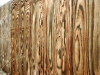 Plywood Pattern