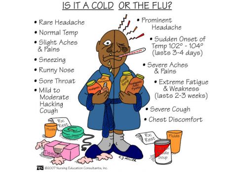 Is It A Cold Or The Flu