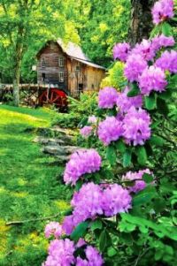 Glade Creek Grist Mill -- West Virginia....