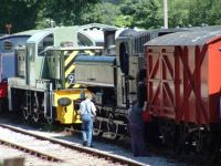 Locomotives at Norchard, DFR