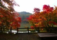 Autumn colour at Takayama, Japan