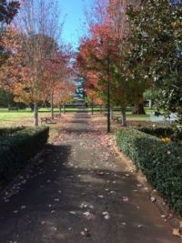 autumn in the park
