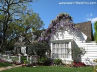House with Wisteria