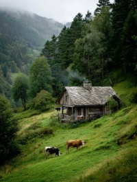 Chaloupka na str&aacute;ni