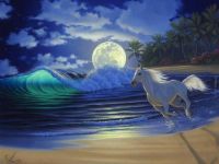 white horse in beach