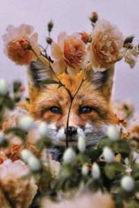 I want to smell the flowers
