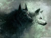 wolf #3 normale