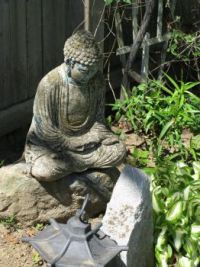 Buddah in the garden