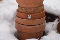 Pots in the Cold