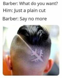 Plain cut