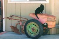 Jet the cat on old gas powered plow