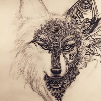 wolf or fox