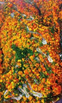 Irohazaka (winding mountain road) at Nikko in autumn color