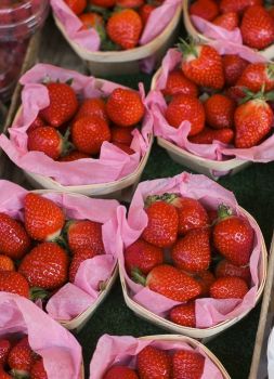 French Market Strawberries