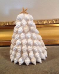 Seashell tree