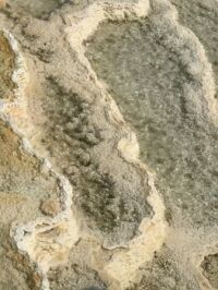 Travertine formed by Mammoth Hot Springs - Yellowstone National Park