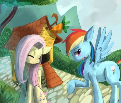 MLP: Fluttershy and Rainbow Dash