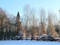 Winter, Febr 2021, Winterswijk