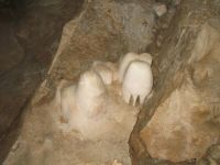 Bashful Elephant - Carlsbad Caverns