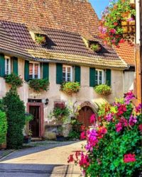solve jigsaw puzzles online
