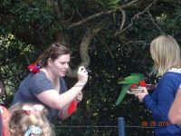 bird feeding