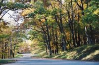 The Road Home