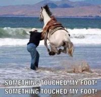 Friday Funny