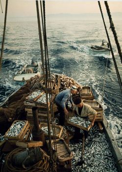 Sardine Fishermen