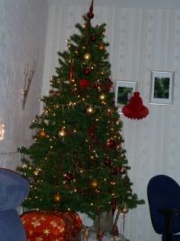 kerstboom at home